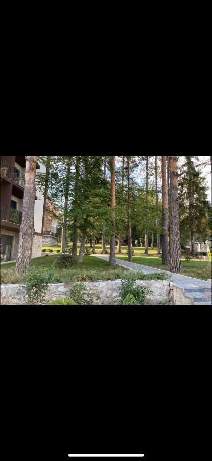 Titova Vila Zlatibor Mountain View Apartment Extérieur photo